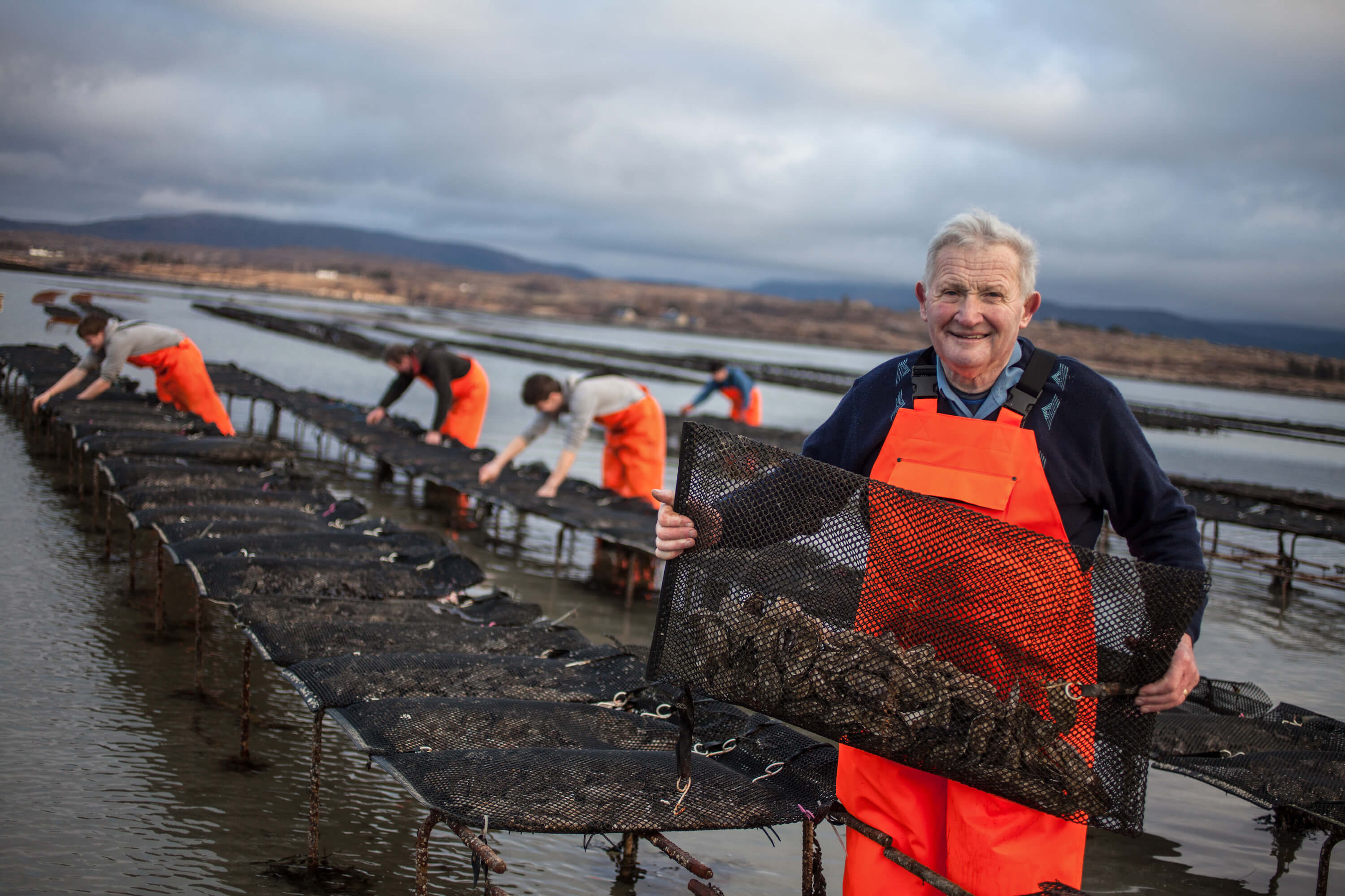 Irish Premium Oysters: Generational Secrets of Oyster Farming