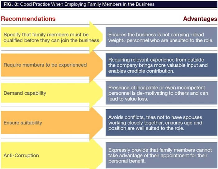 Directors: Piloting The Force of A Family Business