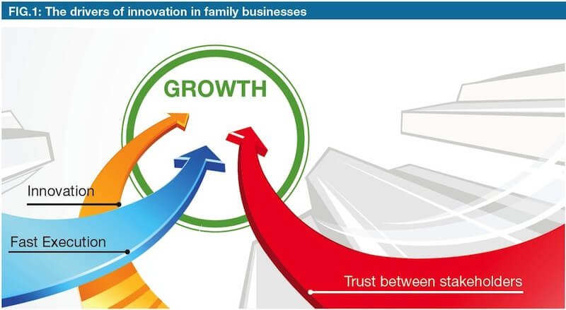 Understanding Family Business Innovation