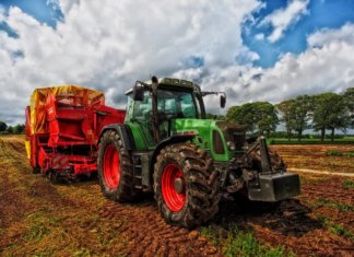 Family Business Expertise in Agriculture – Alkhorayef Group