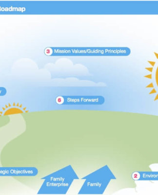 Generation Y in the Family Business – Unleashing the Potential generation-y-in-the-family-business-unleashing-the-potential