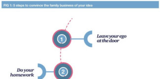 How to Drive Change in the Family Business – The Quest of Generation Y
