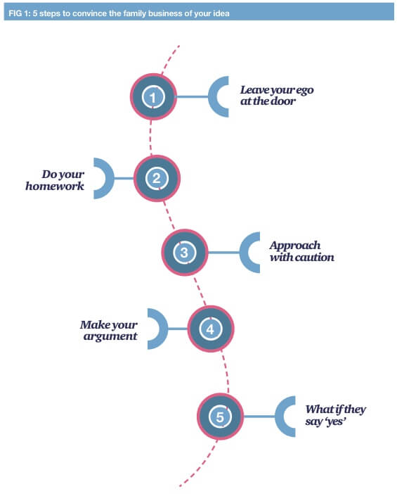 how-to-drive-change-in-the-family-business-the-quest-of-generation-y