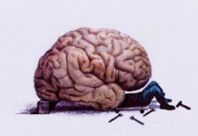 Stress and the Brain – A Complex Relationship