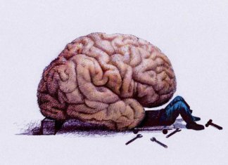 Stress and the Brain – A Complex Relationship