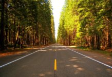 The Five-Factor Theory – Paving the Way to Successful Governance the-five-factor-theory-paving-the-way-to-successful-governance