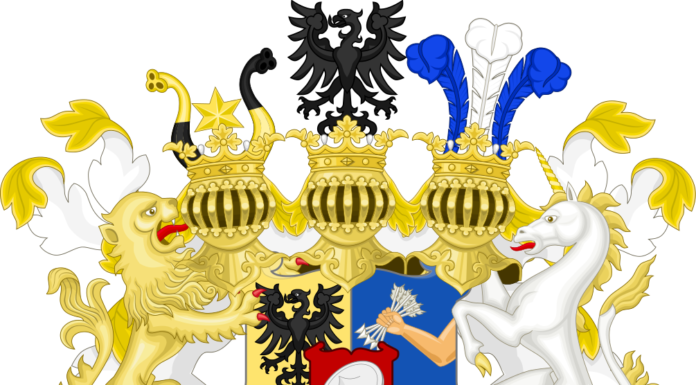 Family Business Profile: Rothschild Group