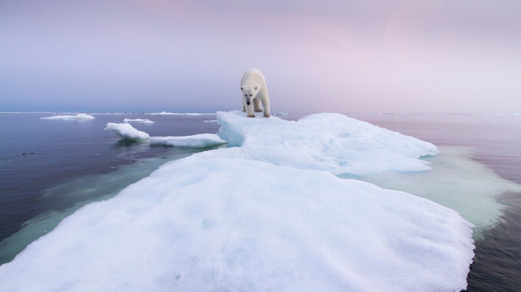 environmental-threats-and-their-global-consequences