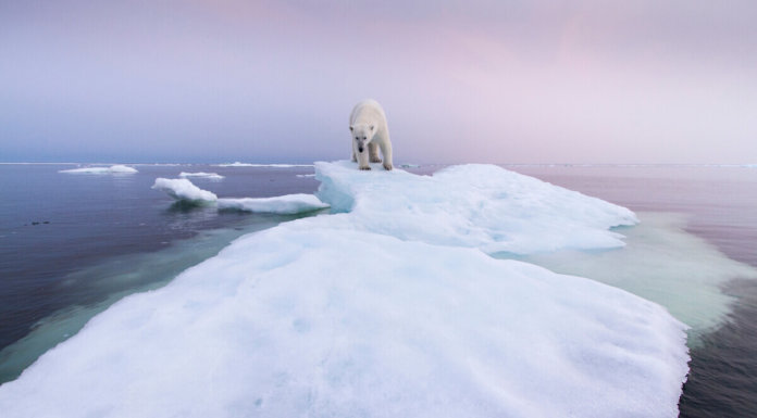 environmental-threats-and-their-global-consequences