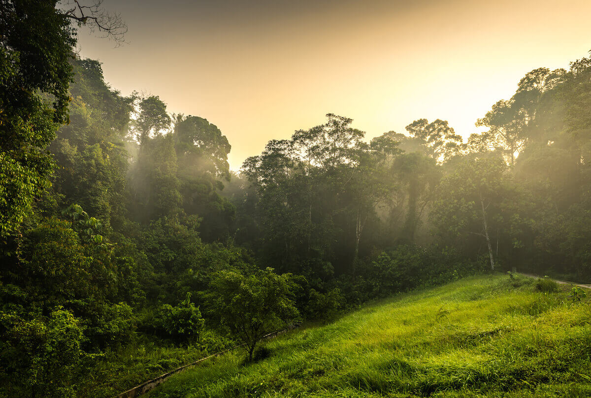 Environmental Threats and their Global Consequences