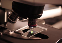 The DNA of a Successful Family Business the-dna-of-a-successful-family-business