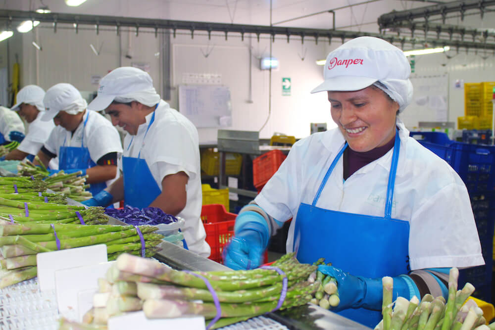 PORTRAIT: Danper – Growing Food, Equality, and Opportunity in Peru