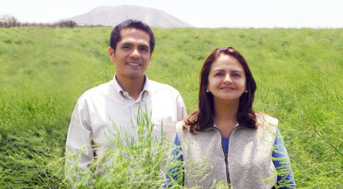PORTRAIT: Danper – Growing Food, Equality, and Opportunity in Peru
