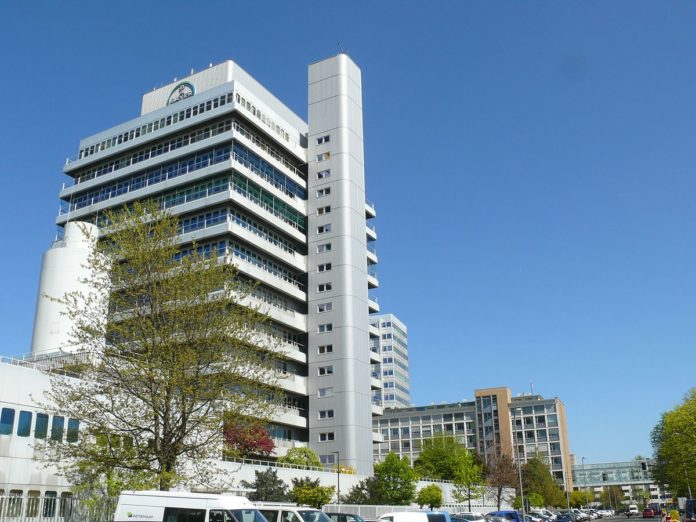 bayer