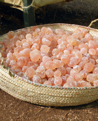 FEATURES: Alland and Robert On Longevity, Succession and Agility features-alland-and-robert-on-longevity-succession-and-agility