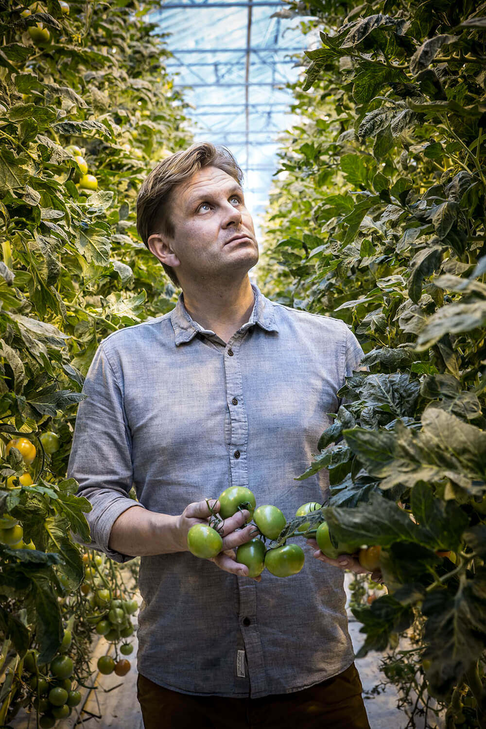 ENTREPRENEURSHIP: From the Greenhouse to the Table