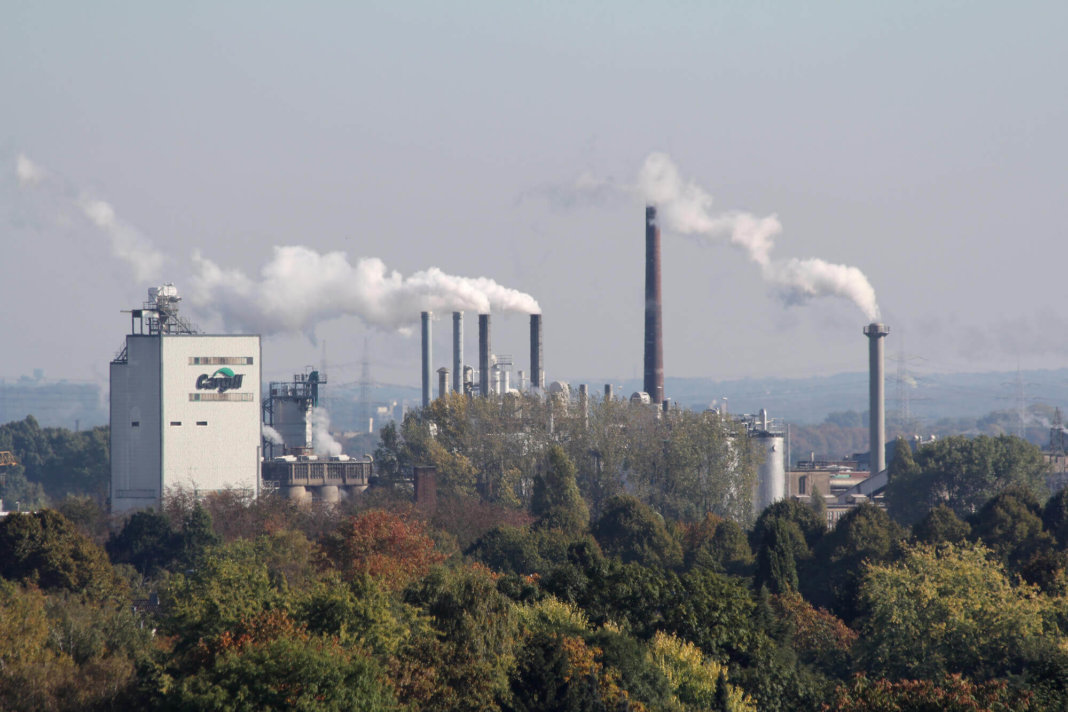 cargill