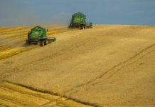 Top Ten Agribusiness Companies in the World top-ten-agribusiness-companies-in-the-world