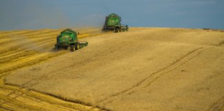 Top Ten Agribusiness Companies in the World