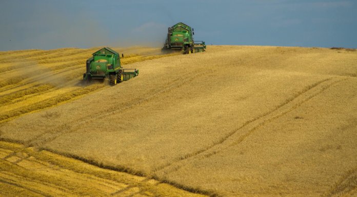 Top Ten Agribusiness Companies in the World top-ten-agribusiness-companies-in-the-world