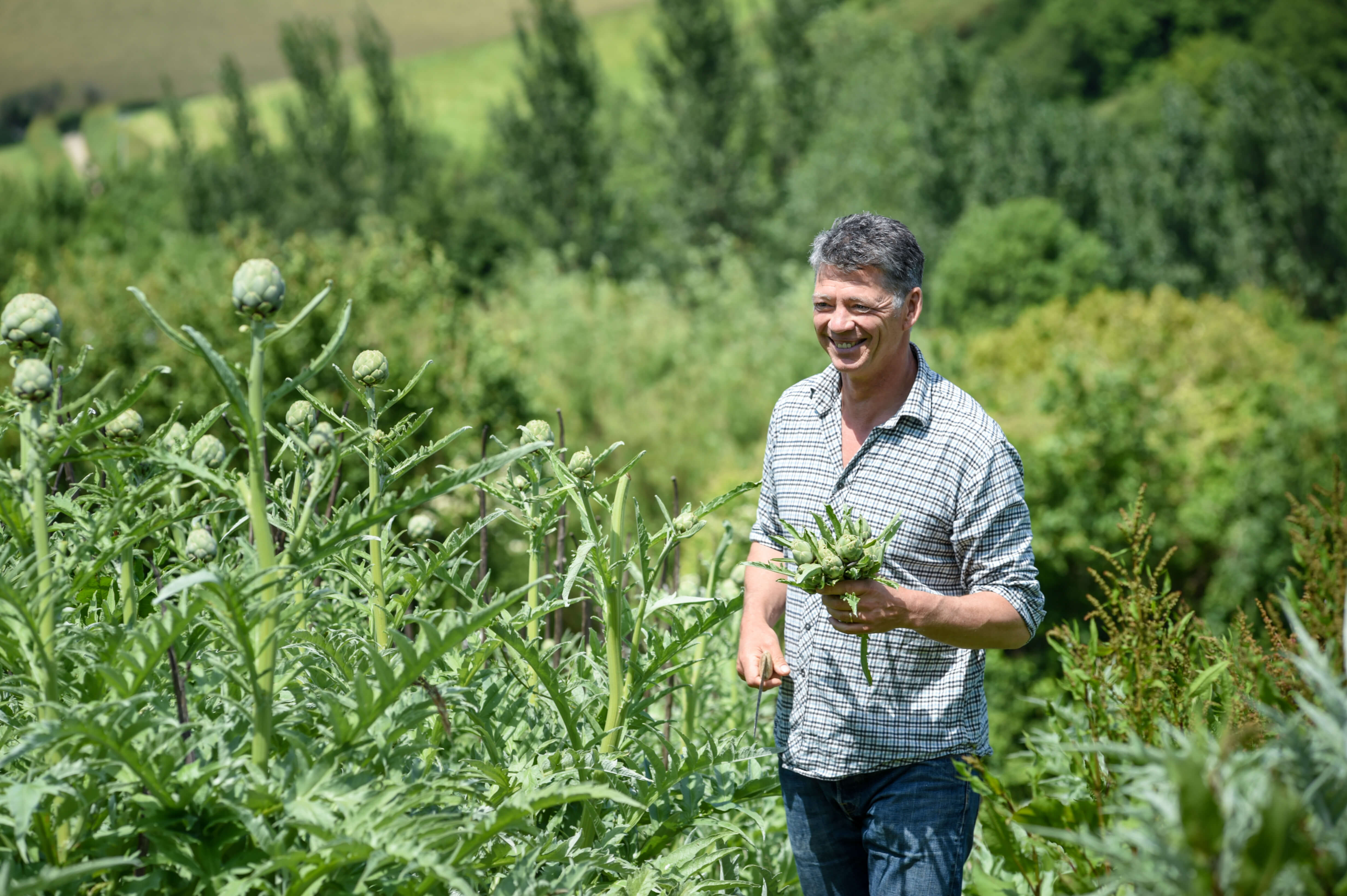 Riverford Organic Farmers: Reinventing the Family Farm Model