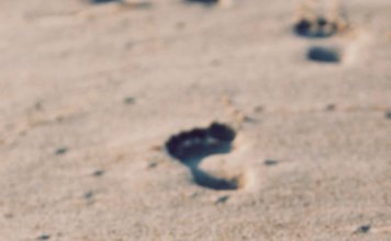 Three Examples of Third-Generation Family Business Failure three-examples-of-third-generation-family-business-failure