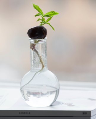 growing-your-familys-human-capital