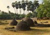 jetwing-sri-lankas-people-centric-hospitality-giant