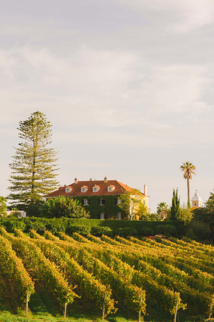 Quinta de Sant'Ana: Consummate, Conscientious Hospitality