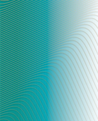 Surviving Entrepreneurship surviving-entrepreneurship