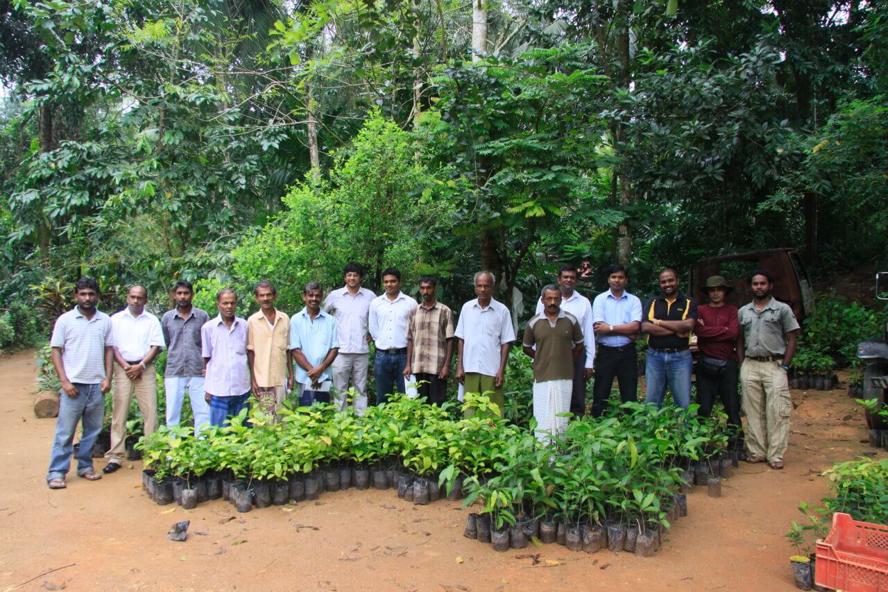 Eswaran Brothers Exports: Putting the ‘Tea’ in Sustainability