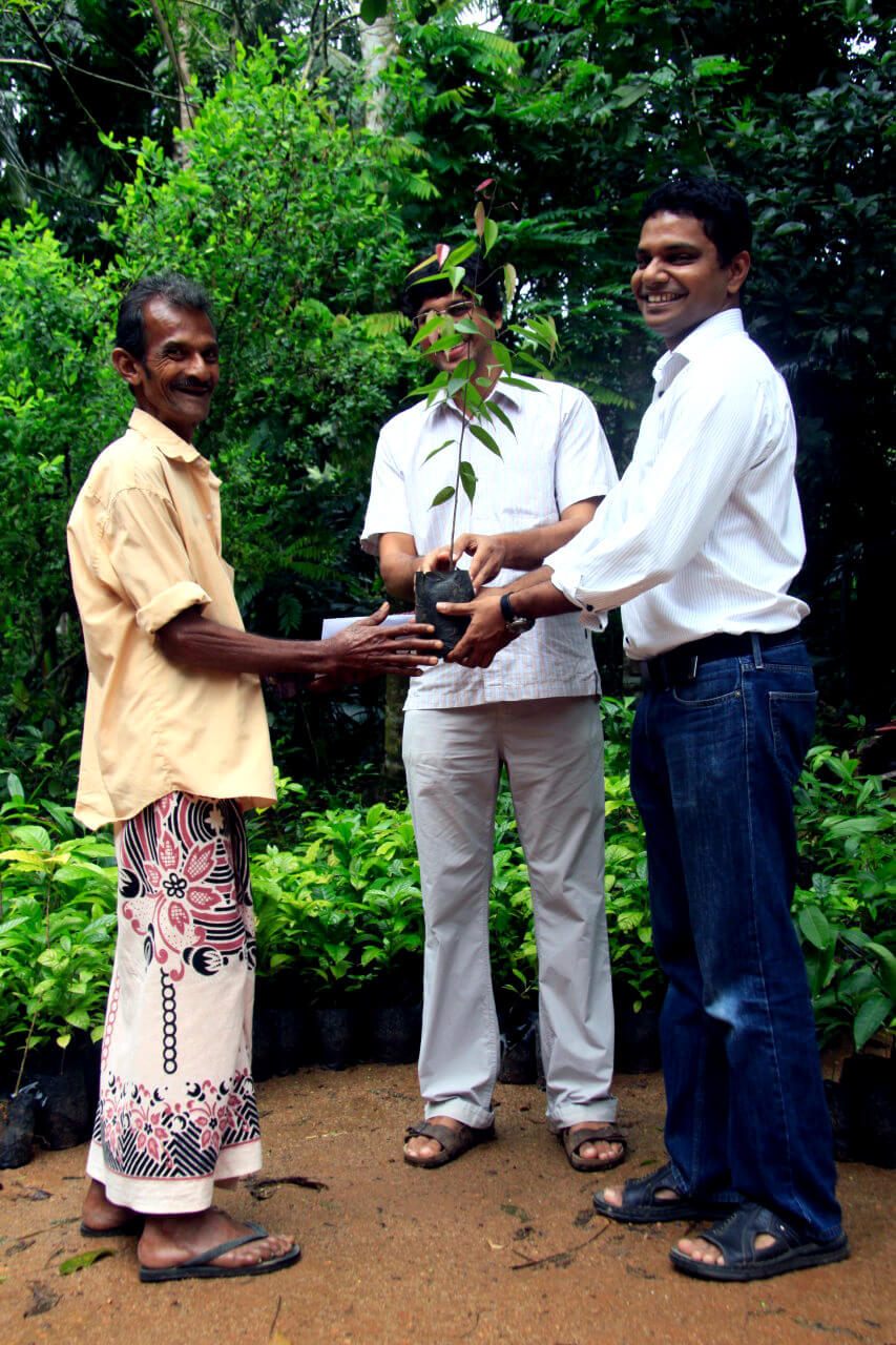 Eswaran Brothers Exports: Putting the ‘Tea’ in Sustainability