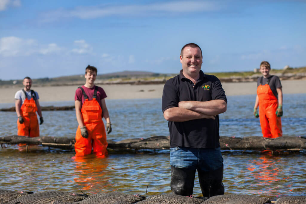 Irish Premium Oysters: Generational Secrets of Oyster Farming