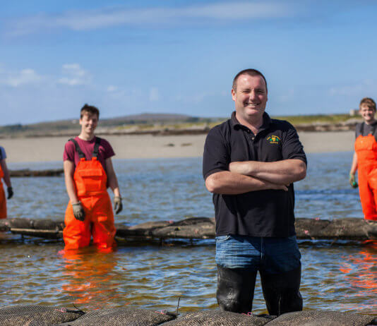 Irish Premium Oysters: Generational Secrets of Oyster Farming