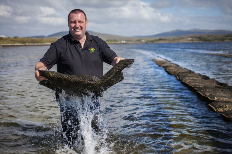Irish Premium Oysters Generational Secrets of Oyster Farming
