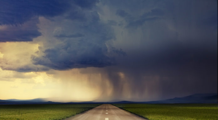 Learning From Crises: 7 Steps to Multigenerational Sustainability Through the Storm shutterstock_120549529