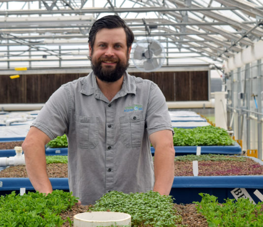 Symbiotic Aquaponic: Systems of Change 1-kaben-smallwood-stands-behind-a-growbed-full-of-herbs-at-the-eastern-oklahoma-state-college-aquaponic-greenhouse-in-wilburton-oklahoma
