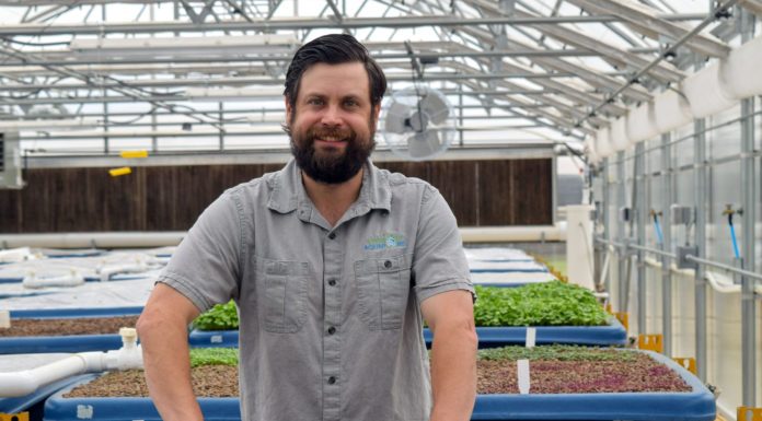 Symbiotic Aquaponic: Systems of Change 1-kaben-smallwood-stands-behind-a-growbed-full-of-herbs-at-the-eastern-oklahoma-state-college-aquaponic-greenhouse-in-wilburton-oklahoma