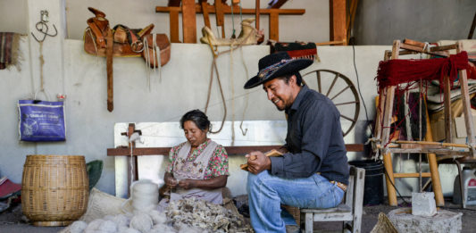 Dixza Rugs and Organic Farms: Weaving Two Worlds Together dsc3568