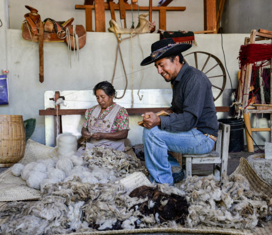 Dixza Rugs and Organic Farm: Weaving Worlds Together dsc3568