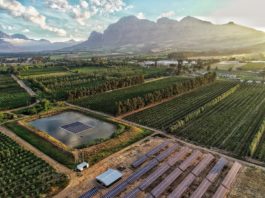 Boplaas 1743: The Long-lasting Success of Responsible Stewardship dcim100mediadji_0158-jpg