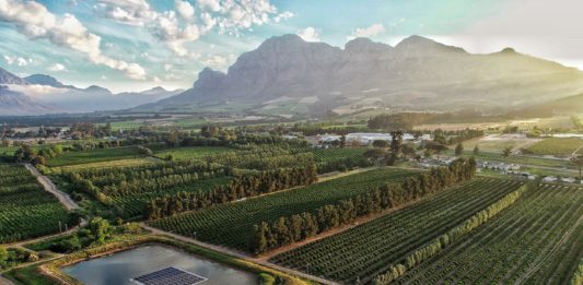 dcim100mediadji_0158-jpg