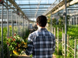 Crosslands Flower Nursery: Rooted in Entrepreneurship