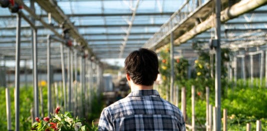 Crosslands Flower Nursery: Rooted in Family Entrepreneurship Crosslands Flower Nursery: Rooted in Entrepreneurship