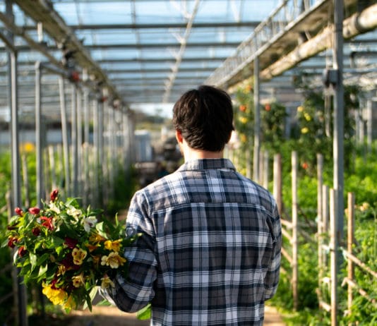 Crosslands Flower Nursery: Rooted in Entrepreneurship