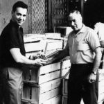 The Family Business Voice