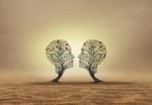 Family Business Transitions: The Impact of Emotional Disconnection on Family Legacies Distanced emotions