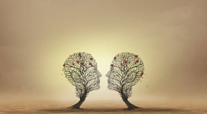 Family Business Transitions: The Impact of Emotional Disconnection on Family Legacies Distanced emotions