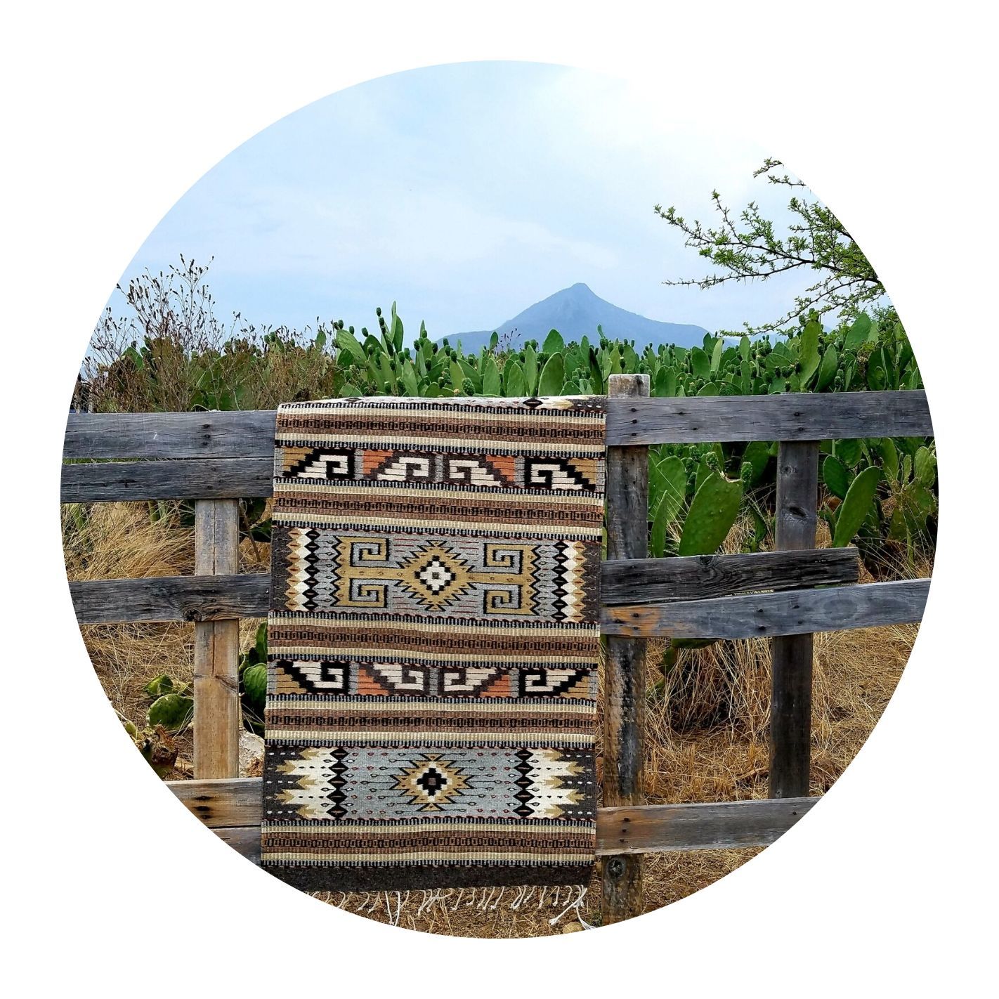 Grecas Teotitlan rug in front of the cactus field, courtesy Dixza Rugs and Organic Farm