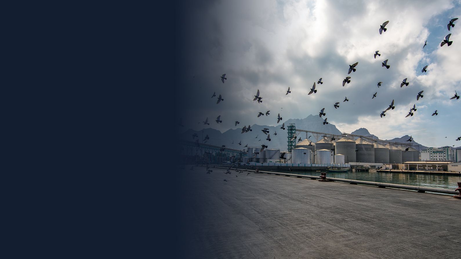 Flour mills; Image courtesy of HSA Group